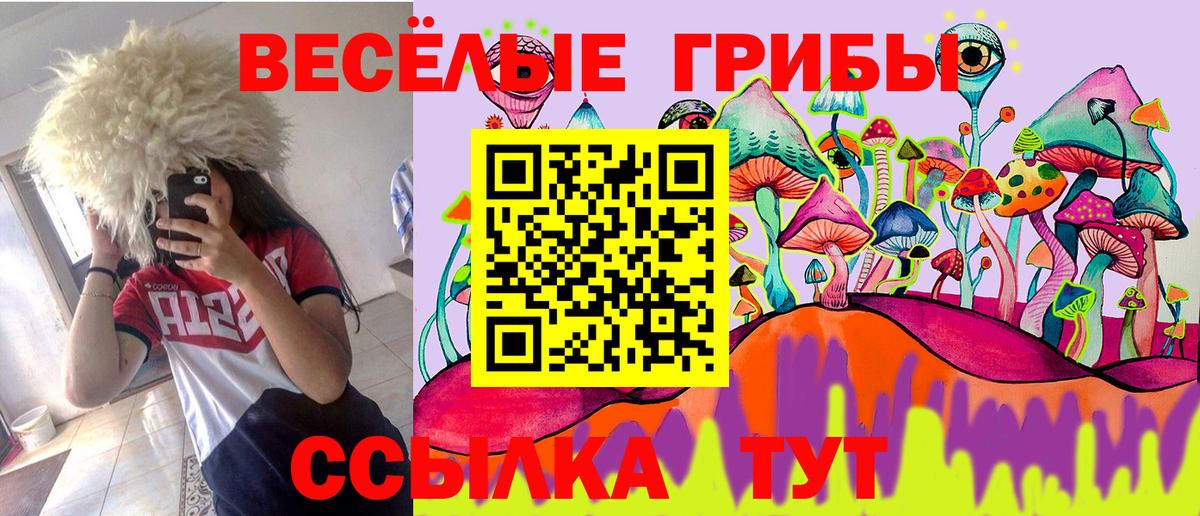 Псилоцибиновые грибы Cubensis Лесосибирск